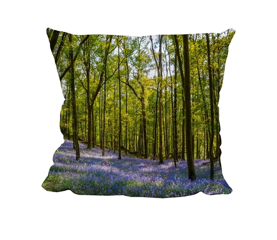 Picture of Bluebell Forest - Cuddle Cushion