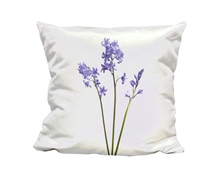 Picture of Bluebell - Cuddle Cushion