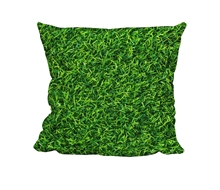 Picture of Grass Background - Polaroid - Cuddle Cushion