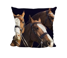 Picture of Four Horse - In Loving Memory - Cuddle Cushion