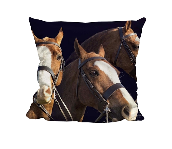 Picture of Four Horse - In Loving Memory - Cuddle Cushion
