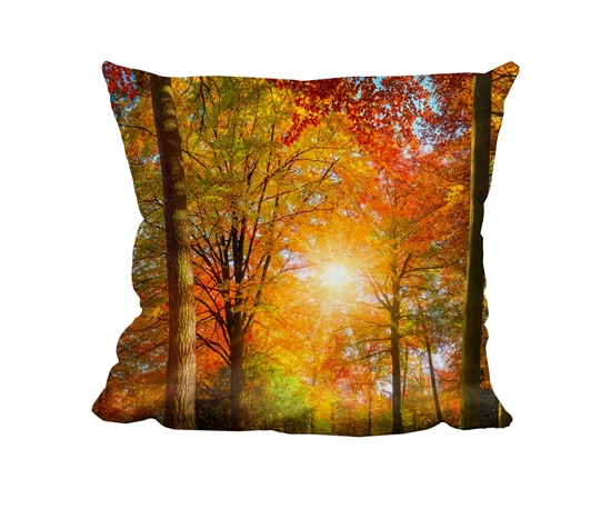 Picture of Autumn Woods - Cuddle Cushion