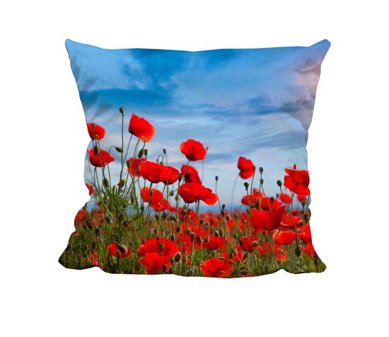 Picture of Poppy Fields - Cuddle Cushion