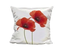 Picture of Poppy Repeat  - Cuddle Cushion
