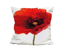 Picture of RIP - Poppy - Poem - Cuddle Cushion