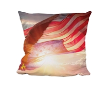 Picture of American Eagle - Cuddle Cushion
