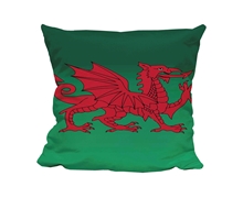 Picture of Wales - Cuddle Cushion