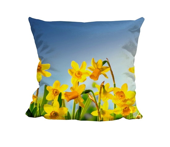Picture of Spring - Cuddle Cushion