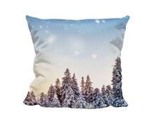 Picture of Winter - Cuddle Cushion