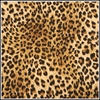 Picture of Leopard Print 
