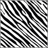 Picture of Zebra Print 