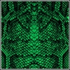 Picture of Snake Print 