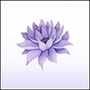 Picture of Purple Lotus - In Loving Memory 