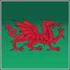 Picture of Welsh