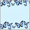 Picture of Scottish Butterfly