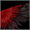 Picture of Angel Wings 