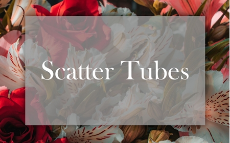 Picture for category Scatter tubes 