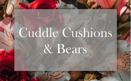 Picture for category Cuddle Cushion & Bears 