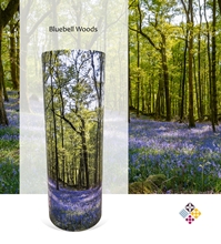 Picture of Bluebell Forest - Tube - 240cu