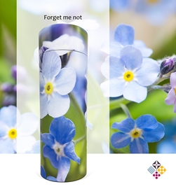 Picture of Forget Me Not - Tube - 240cu