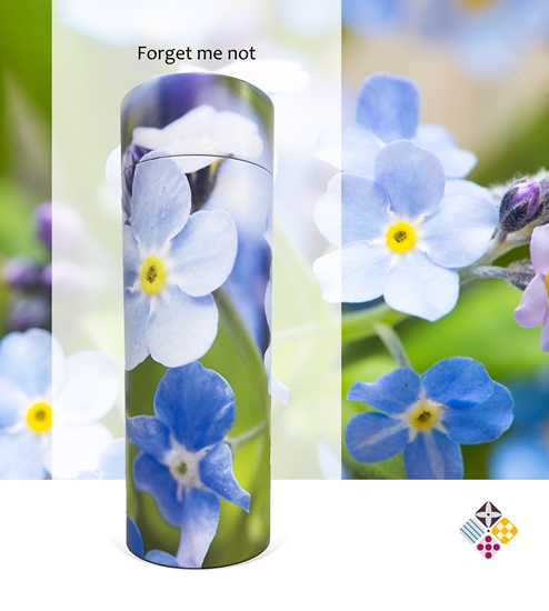 Picture of Forget Me Not - Tube - 240cu