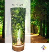Picture of Towards The Light - Tube - 240cu
