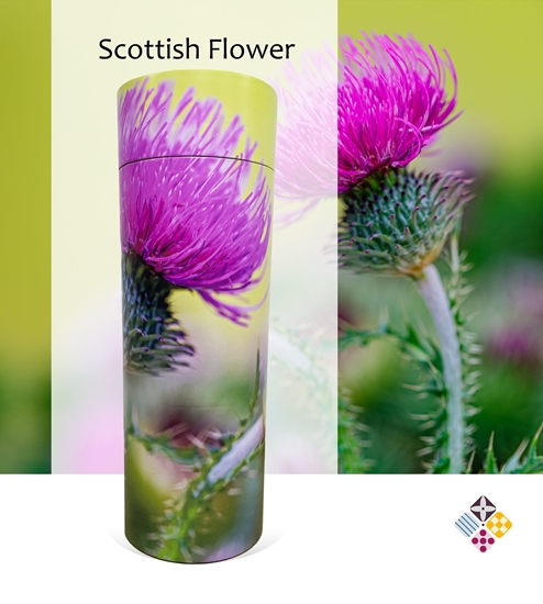 Picture of Scottish Flower Scatter Tube 