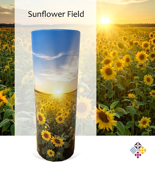 Picture of Sunflower Field Scatter Tube 
